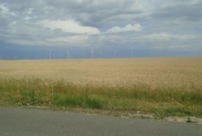 Teren Extravilan Corni, Cota parte 1/2, ID: R2581783 - 16