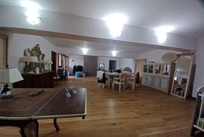 Hala cu showroom, productie mobila,  Balotesti - Therme - 20