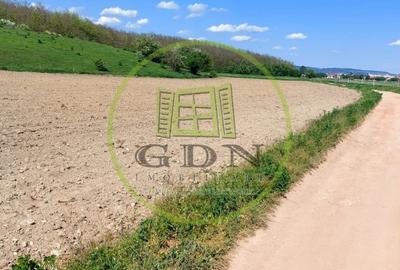 Teren  oportunitate investitie  19.000mp, zona Aeroport, - 2