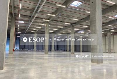 Eli Park 4, depozitare, productie, logistica, 1.500 - 20.000 mp - 2