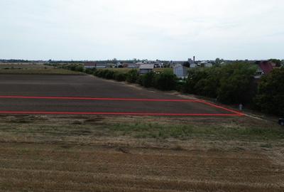 Darza teren intravilan 1ha, ideal pentru case, hala, ferma - 3