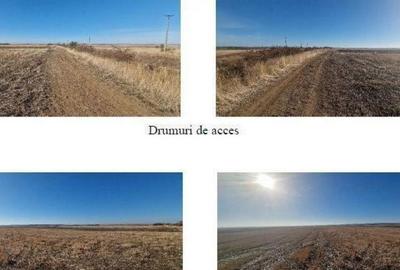 Teren Gradinari, cota 1/2. ID: R1983933 - 2