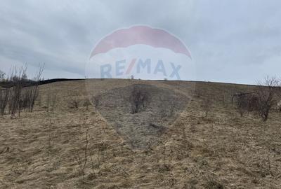 Teren Construcții intravilan de 2307 mp, în Sălicea - 11