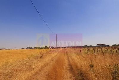 Teren pentru casa/case in Brane?ti pe strada Topora?i - 27