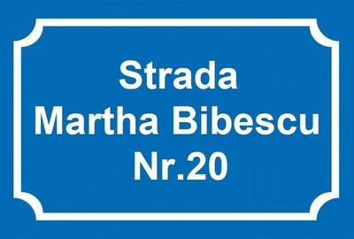 Duplex 6 camerede vanzare in Mogosoaia Str Martha Bibescu 20 acces direct la lac - 2