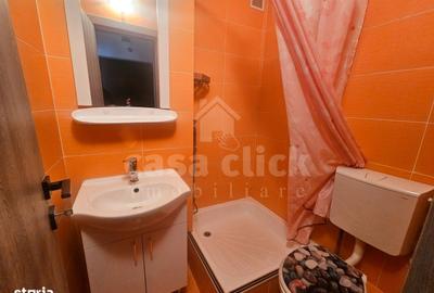 Apartament cu 2 camere, mobilat în Țiglina 1 - 5