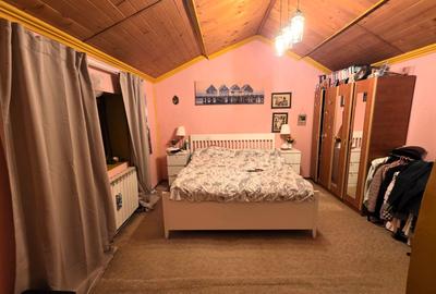 Vanzare vila P+M Ostrov / Pantelimon, langa Lacul Fundeni, teren 250 mp - 7