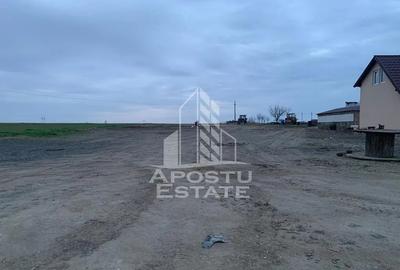 Teren de 2635 mp, în Zăbrani - 2