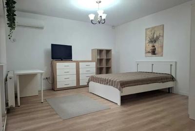 Garsonieră decomandată, mobilată în Dristor - 1