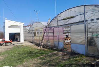 Spațiu comercial, în Roșiori - 19