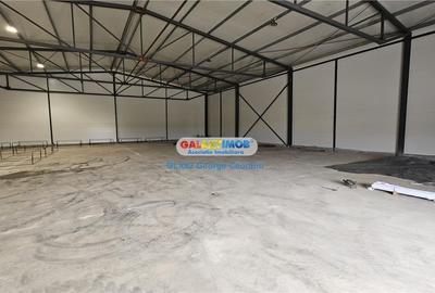 Inchiriere hala 600mp Oxigenului Catelu - 2