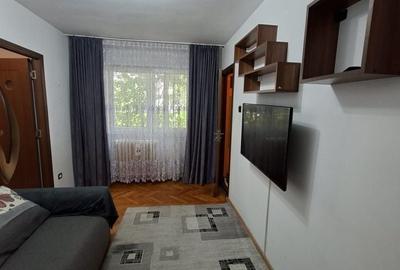 Apartament cu 2 camere semidecomandat, mobilat în Șagului - 2