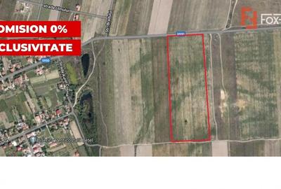 Teren 20000 mp intre Mosnita Veche si Bucovat - ID V4317 Teren 20000 mp intre Mosnita Veche si Bucovat - ID V4317 - 1