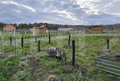 Teren extravilan, de vanzare, 721 mp, zona Valea Stanelor - 19