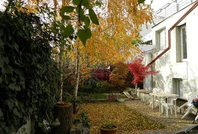 Cladire multifunctionala SAD, 750 mp utili, Semicentral - Timisoara - 1
