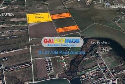 Teren Balotesti Saftica Lahovari 18200 mp rezidential - 2