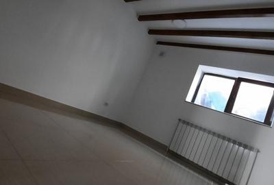 Spatiu comercial ultracentral - 2