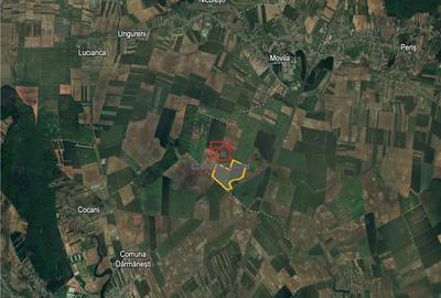 Teren Peris - Crevedia, Ilfov - 6