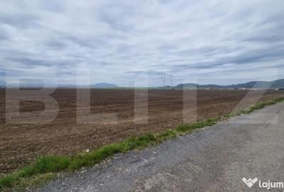 Teren de 11620 mp, în Hărman