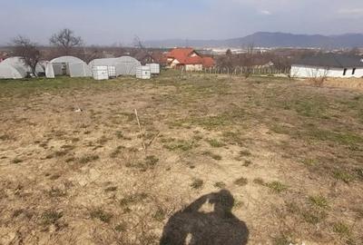 Teren în Satu Nou de Jos - 1