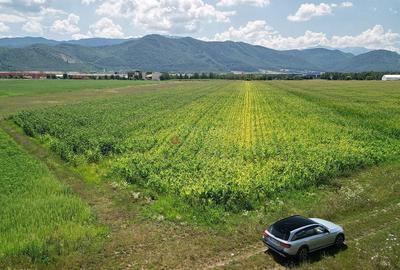 Teren intravilan - 13