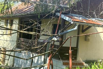 Casă cu 3 camere cu Teren 800 Mp în Telega - 11