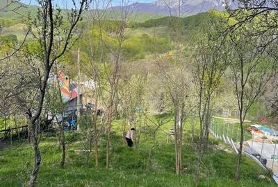 Teren de 1365 mp, în Berislăvești - 4