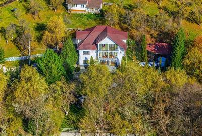 Casă cu 10 camere cu Teren 7600 Mp în Rucăr - 7