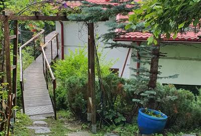 OCAZIE UNICA: Casa cu gradina in cel mai bun loc din Sinaia! Reziden?ial sau Pensiune - Restaurant - 2