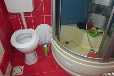 Vand casa Deva, zona Micul Dalas, D+ P+E + pod, constructie din caramida acoperita cu pod si tigla - 7