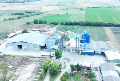 Gaminvest Fabrica de morarit de vanzare in Judetul Bihor, Romania V3234