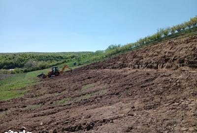Teren de 7000 mp, în Hidiș - 6