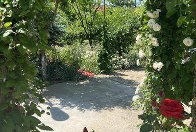 Casă Olari zona Balta Doamnei - 12