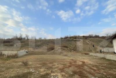 Teren de 10200 mp, în Dealuri Oradea - 3