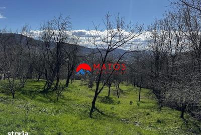 Casă cu 3 camere cu Teren 3025 Mp în Ghioșești - 1