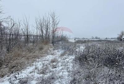 Teren de 7200 mp, în Bodești - 4