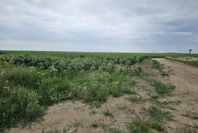 Planul I 14.832 mp Slatina bucla Drum Expres DX12 - DJ 546 - 2