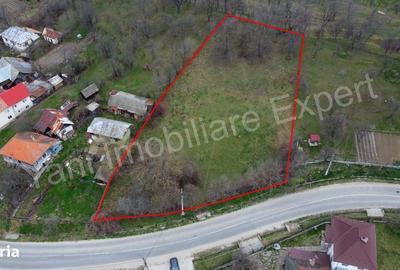 Teren de 2674 mp, în Cepari - 3