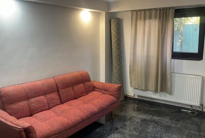 Inchiriere casa P+1 pet friendly curte comuna Cotroceni Medicina - 3