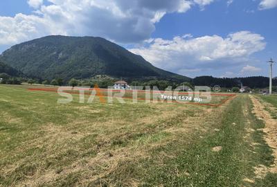 Teren intravilan Zarnesti - 3