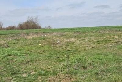 Afumati Balta Batal teren de vanzare 7000 mp - 5