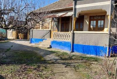 Casă cu 5 camere cu Teren 3000 Mp în Salcia - 2