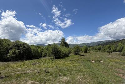 Teren de 1000 mp, în Nucșoara - 2