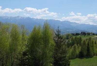 Vanzare 1266 mp teren superb Cheile Rasnoavei la munte langa padure si pensiuni - 11