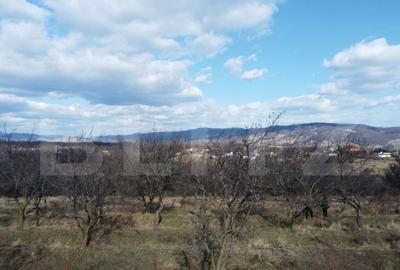 Teren de 11931 mp, în Vălenii de Munte - 2