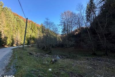 Teren de 2882 mp, în Dâmbovicioara - 2