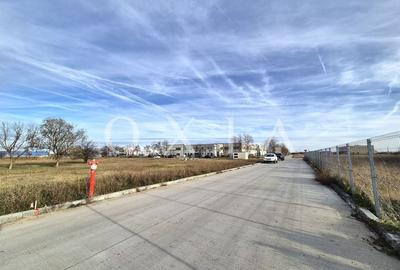 AX959 Teren Intravilan, Zona Industriala Monlandys, Calea Sagului - 7