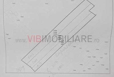 Teren intravilan de 13659 mp, în Răcari - 4