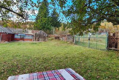 Casă cu 2 camere cu Teren 5000 Mp în Central - 3