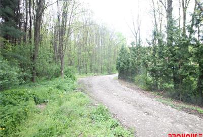 Valea Budului - Teren intravilan. Lac. Padure - 11